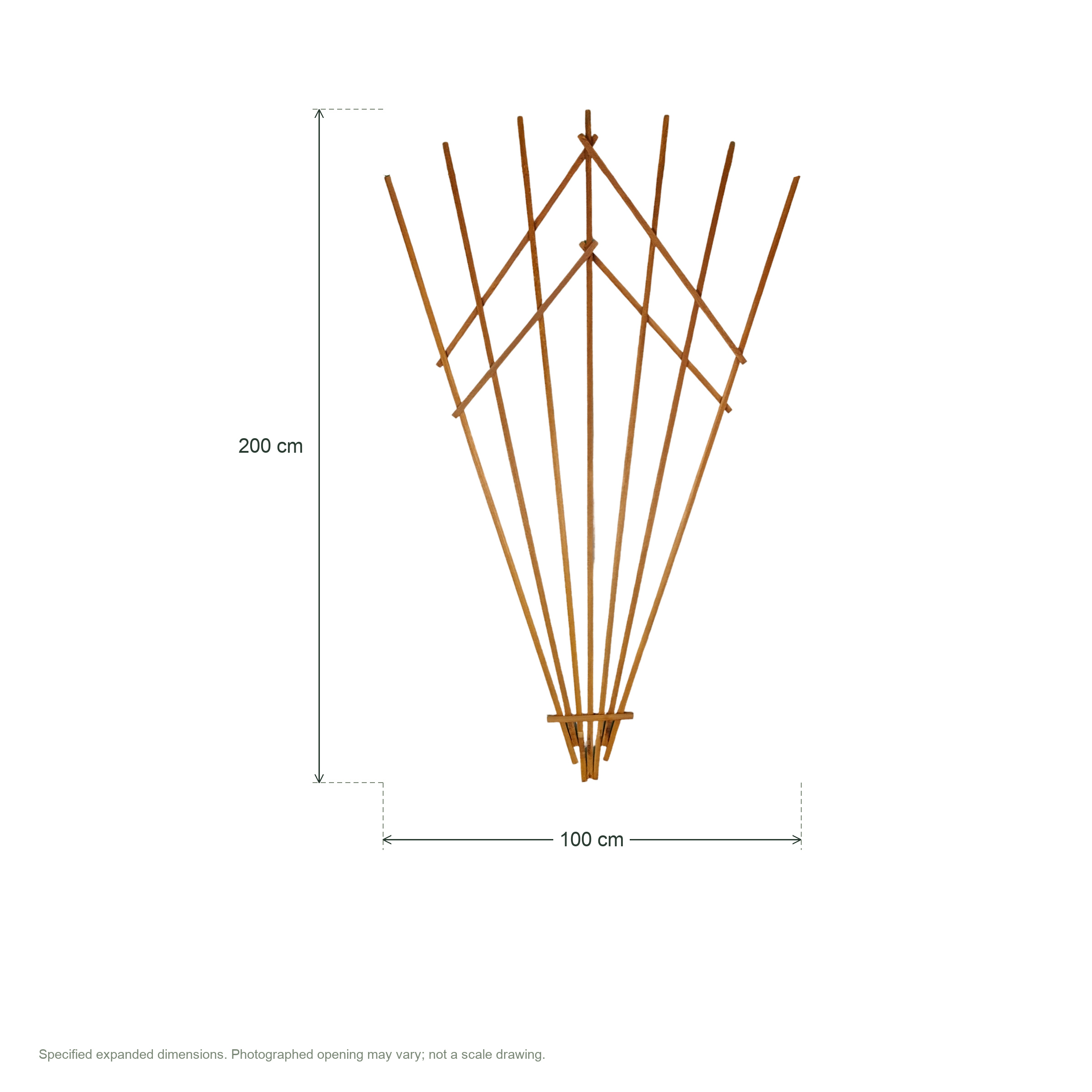 Folding wooden fan-shaped flower trellis, large, nordic brown, size 100 x 200 cm — dimensions clean