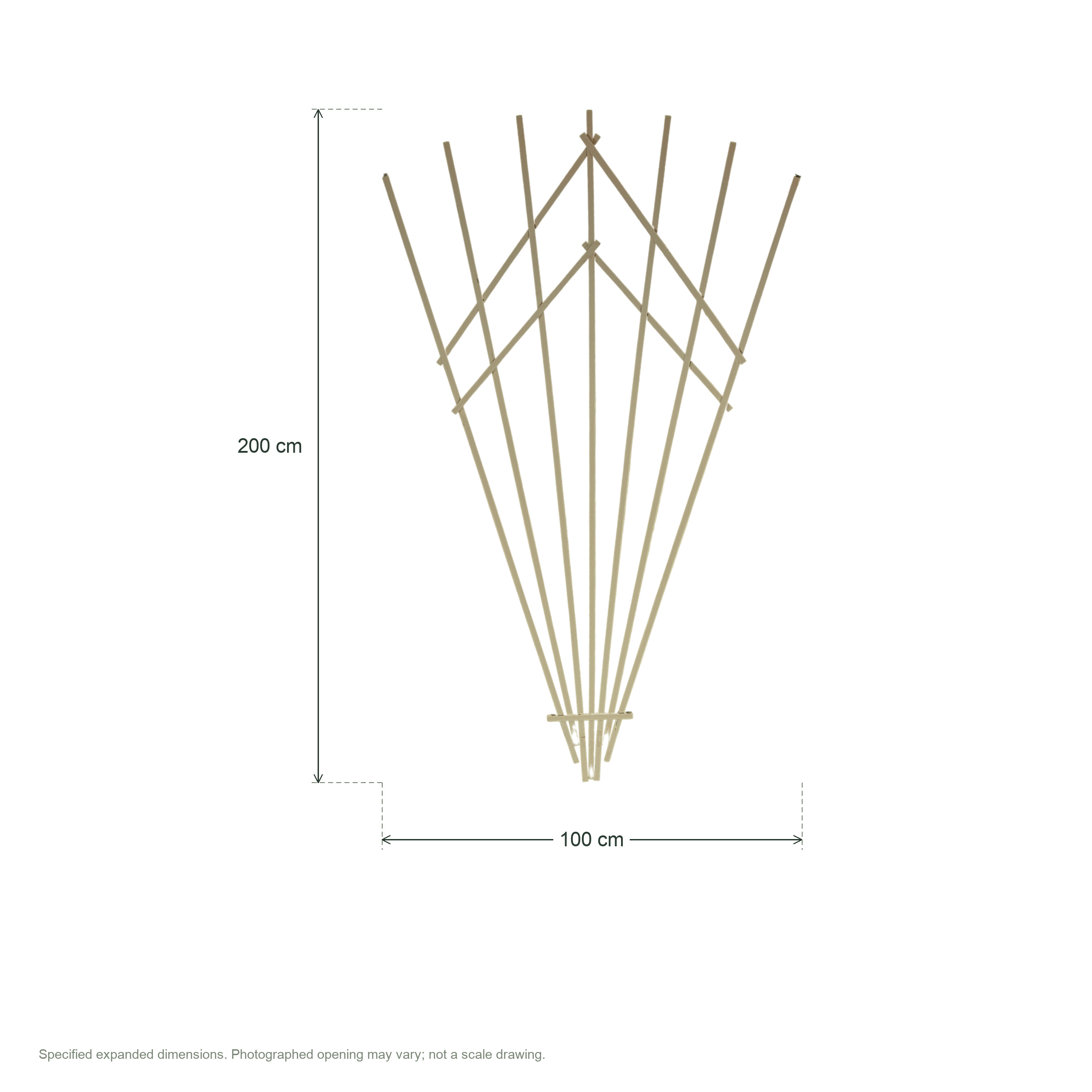 Folding wooden fan-shaped flower trellis, large, green, size 100 x 200 cm — dimensions clean